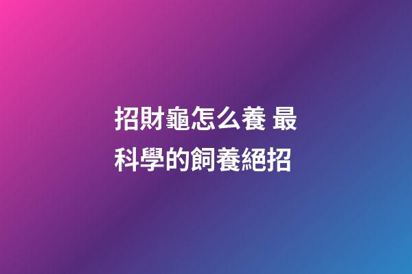 招財龜怎么養 最科學的飼養絕招